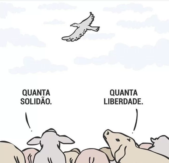 Aristóteles - Charge